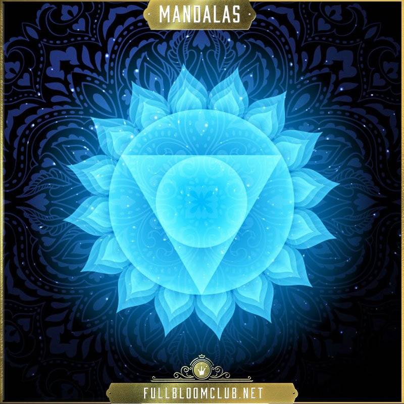 13 Fun Facts About Mandalas You Didn't Know Full Bloom Club