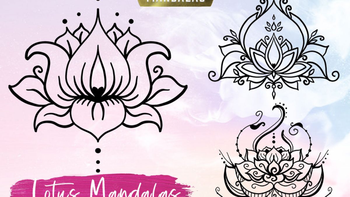 Download What You Need To Know About The Incredible Lotus Mandala Full Bloom Club