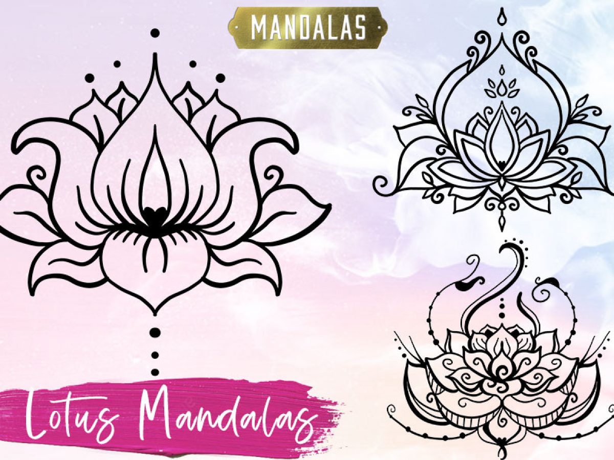 Download What You Need To Know About The Incredible Lotus Mandala Full Bloom Club