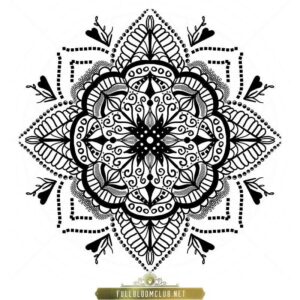 How To Draw Mandala. Step By Step Guide - Full Bloom Club