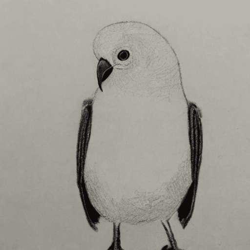  minimalistic bird sketch, easy drawing ideas