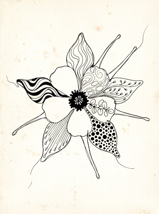 Finished columbine line drawing