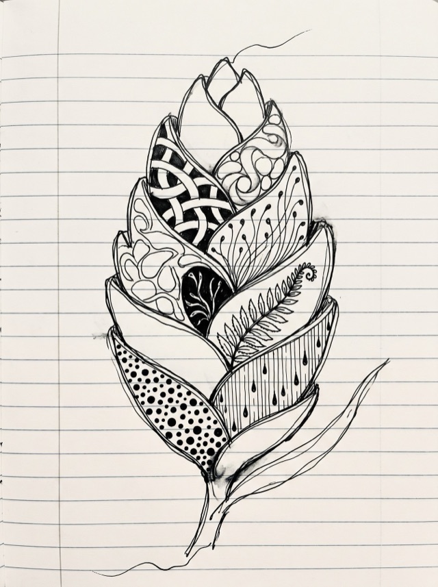 Torch ginger drawn in bold patterns in a notebook