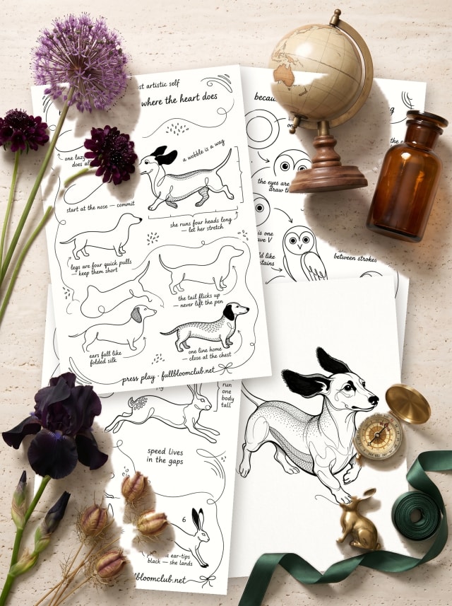 Set 01 — the one-line menagerie