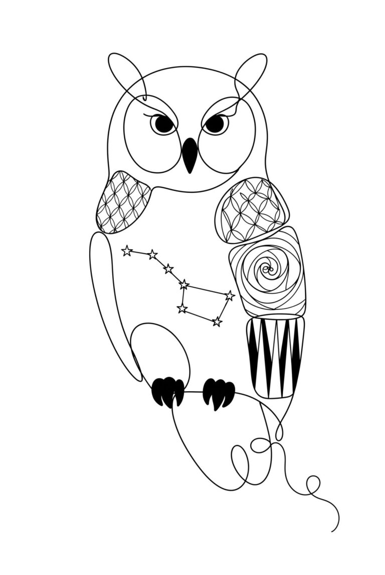 The owl, wide awake