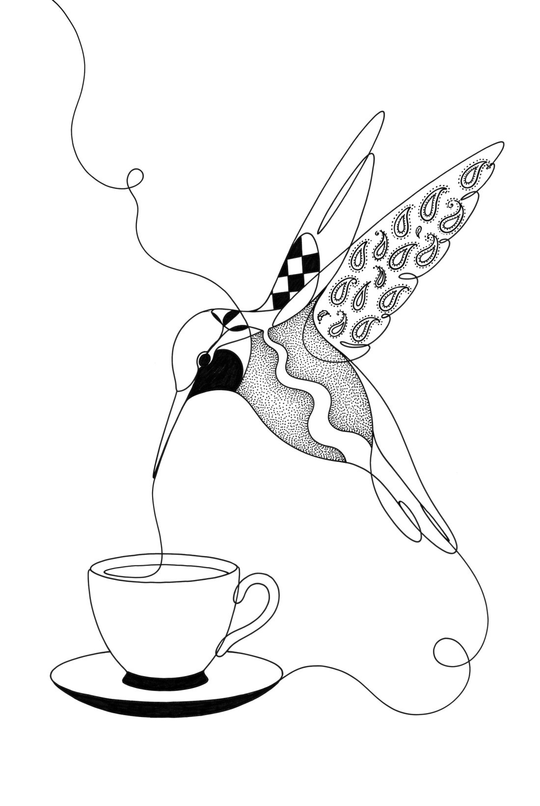 A hummingbird drinking from a teacup mid-air, drawn in one line