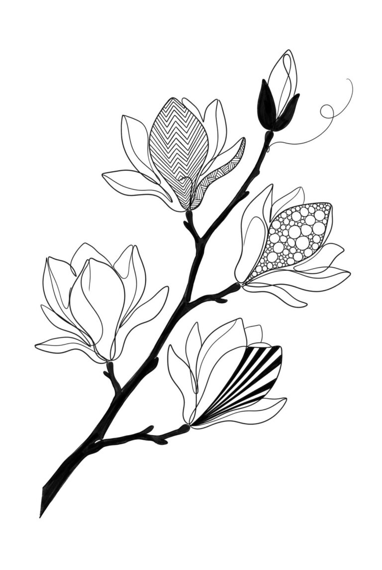 A magnolia branch in bloom