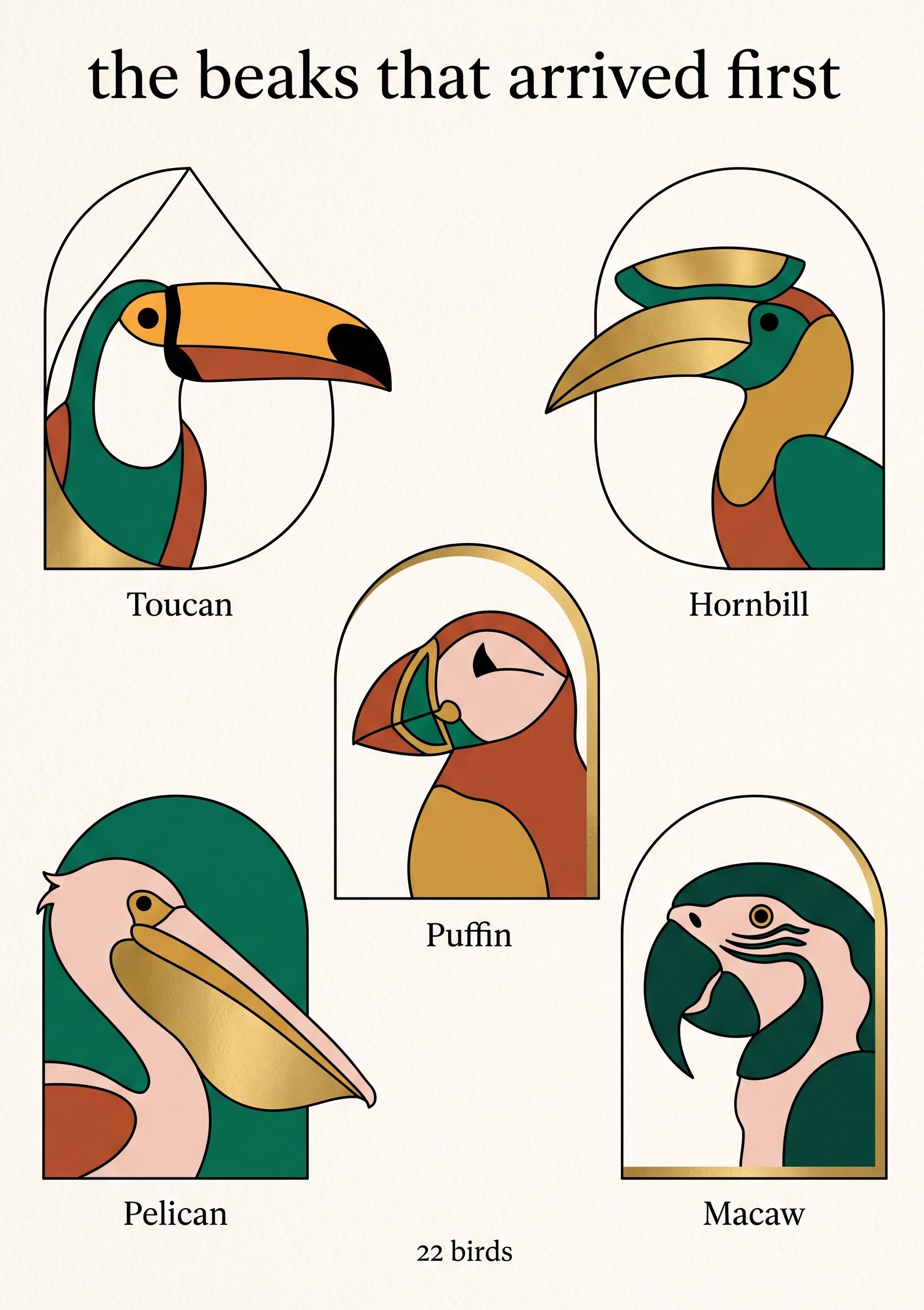 Comparison guide for bird sketching showing five oversized-beak birds reduced to flat shapes