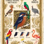 Bird sketching plate showing the three-shape method and 22 birds built from flat colour blocks