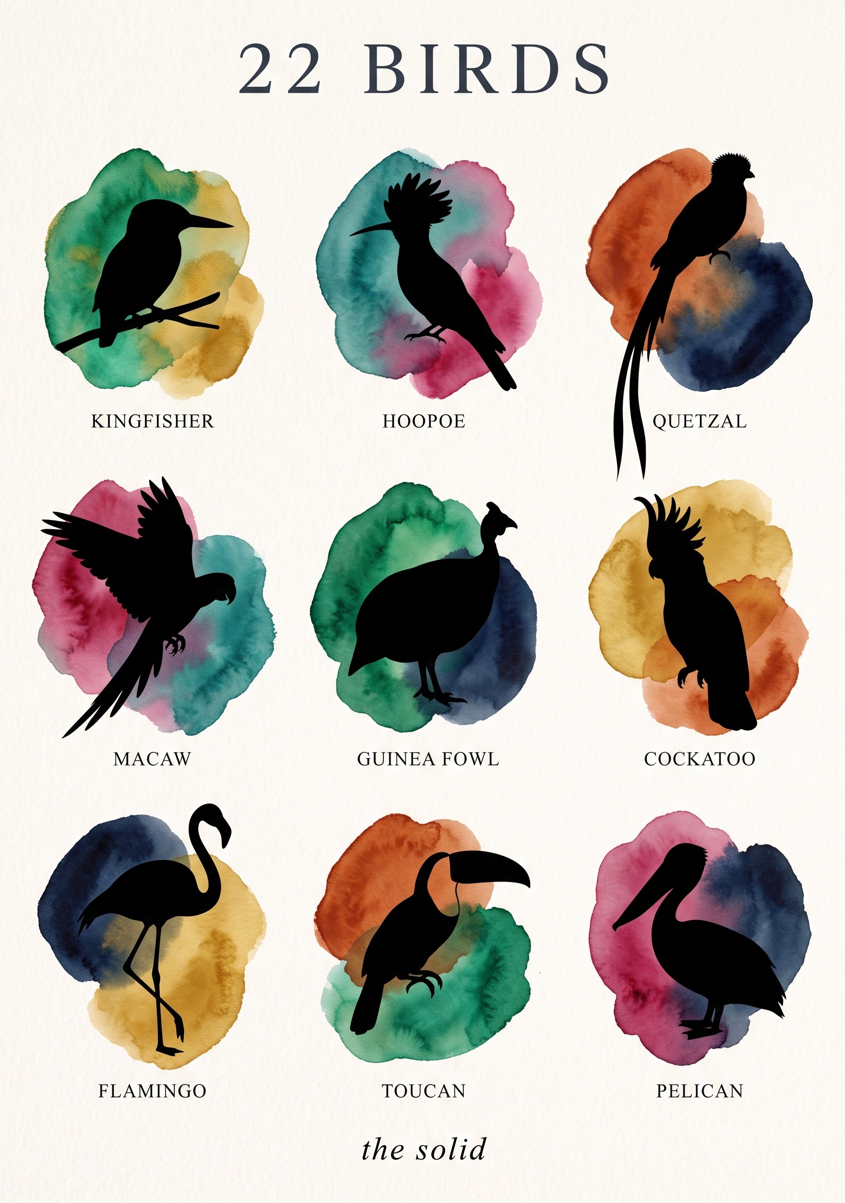 Nine bird silhouettes on jewel-tone paint blobs showing the solid shape stage of bird sketching