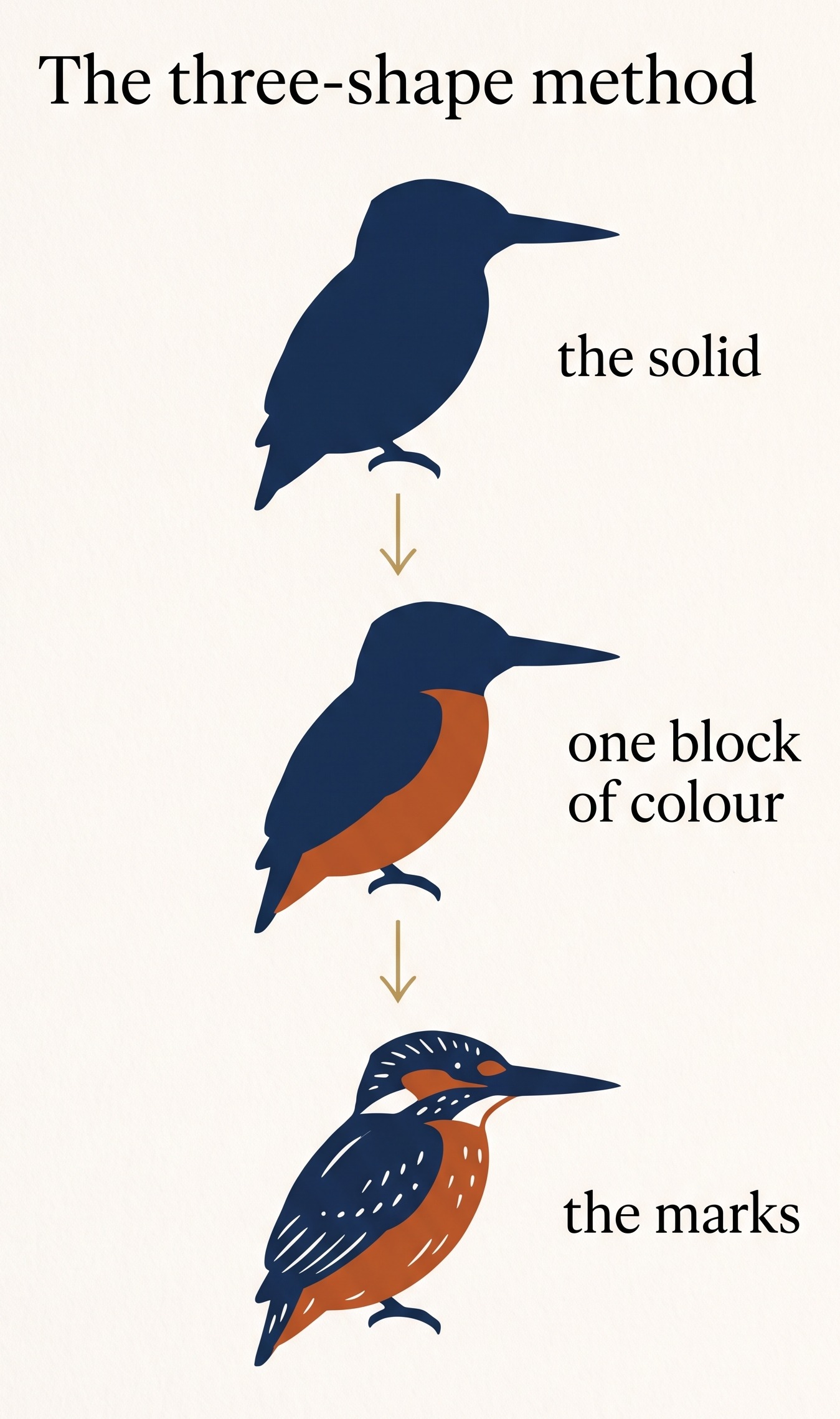 Three step bird sketching progression from solid silhouette to colour block to finishing marks