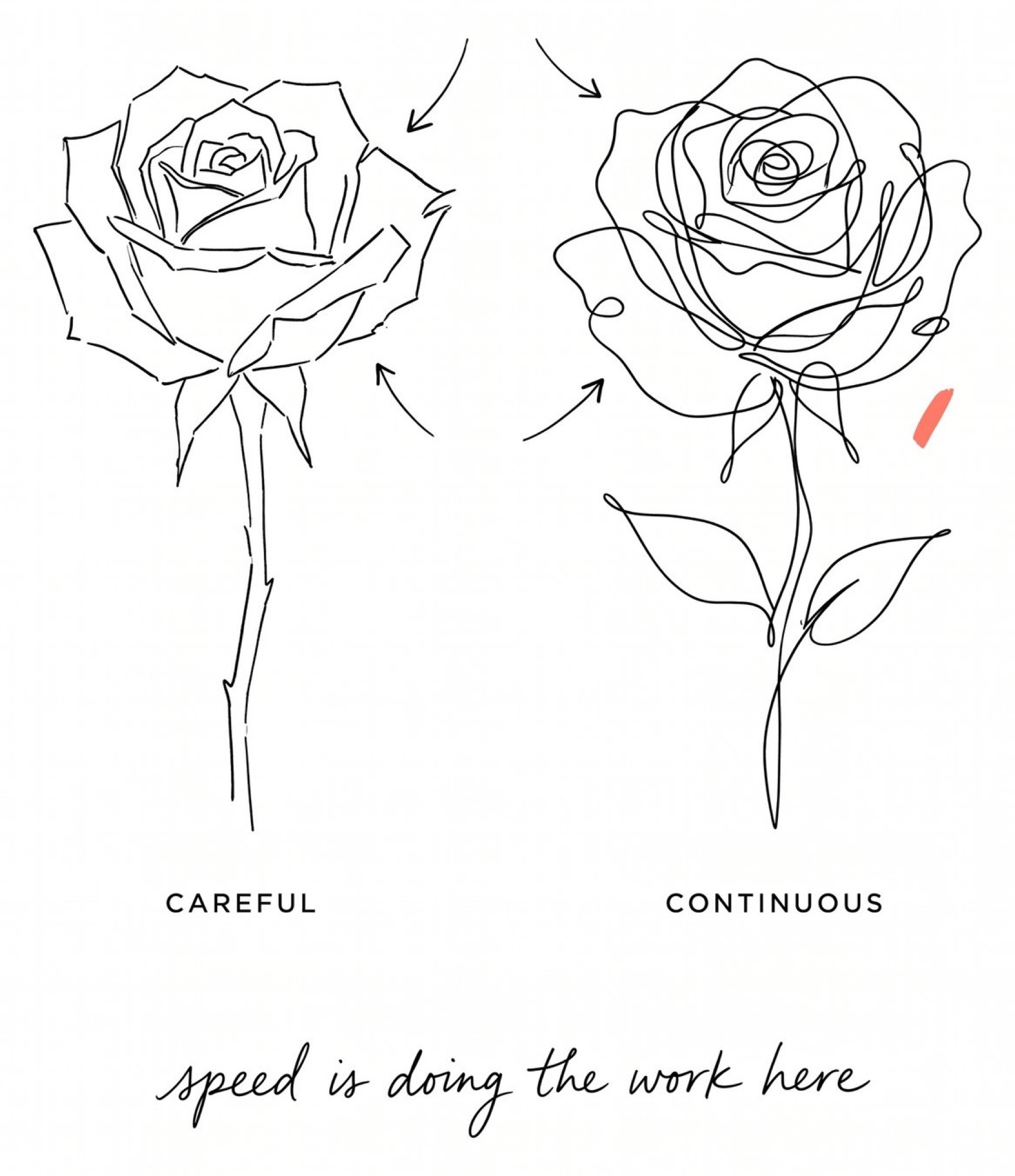 Careful versus continuous - one line drawing rose comparison