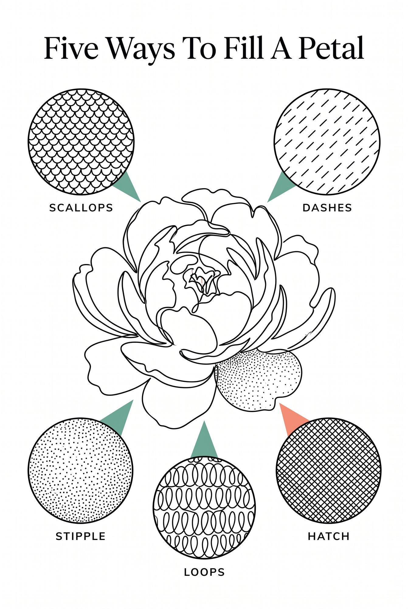 Five ways to fill a petal - pen texture infographic for one line drawing