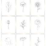 Nine one line drawing flower warm ups with dashed tracing lines