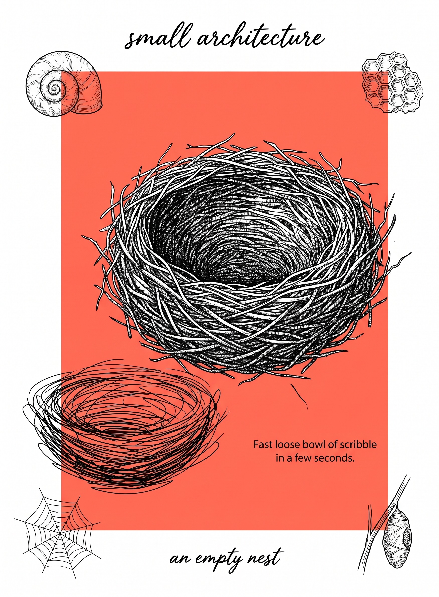 Nature journaling contrast guide showing an empty nest drawn in dense detail beside the same nest as fast scribble