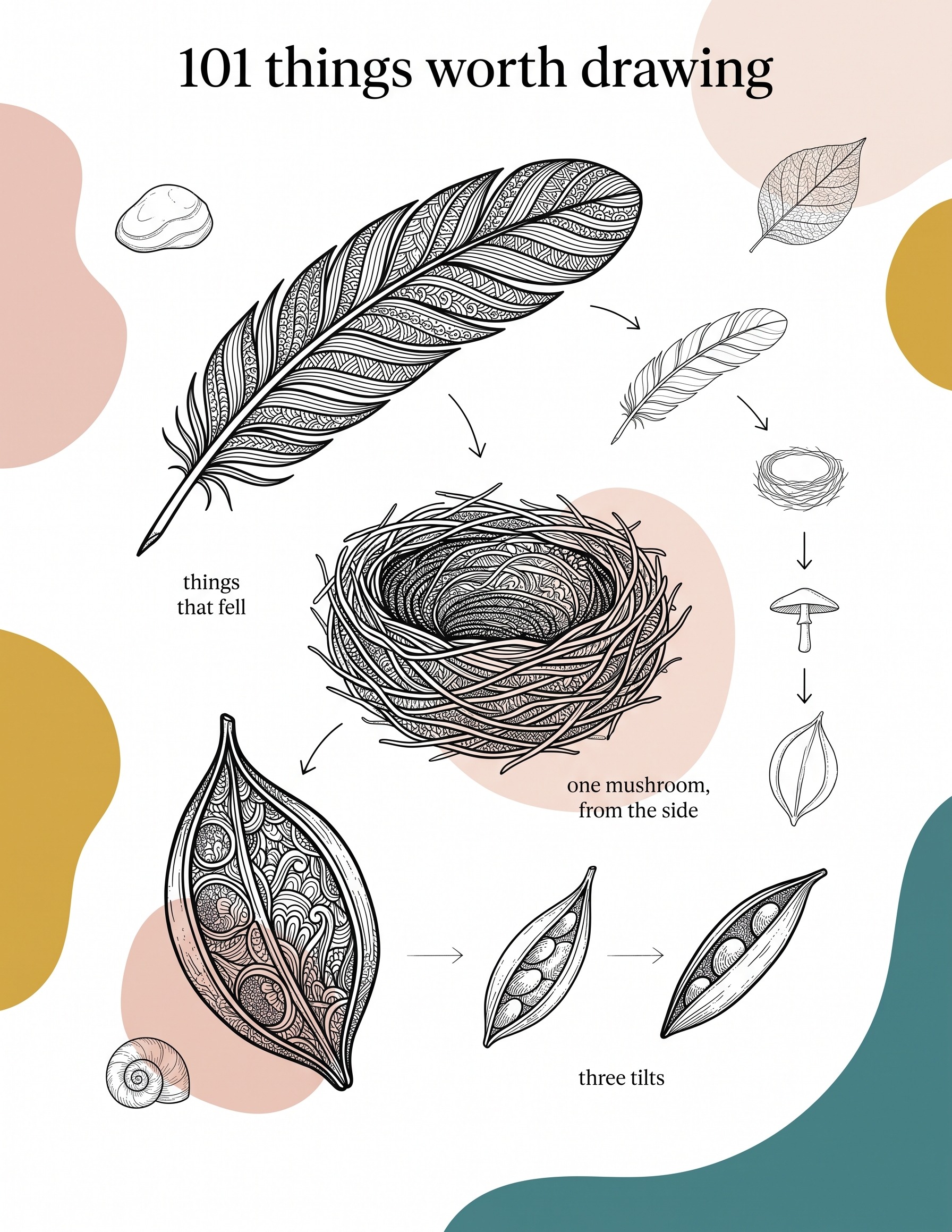Nature journaling infographic deconstructing a feather, a nest and a seed pod into simple stages