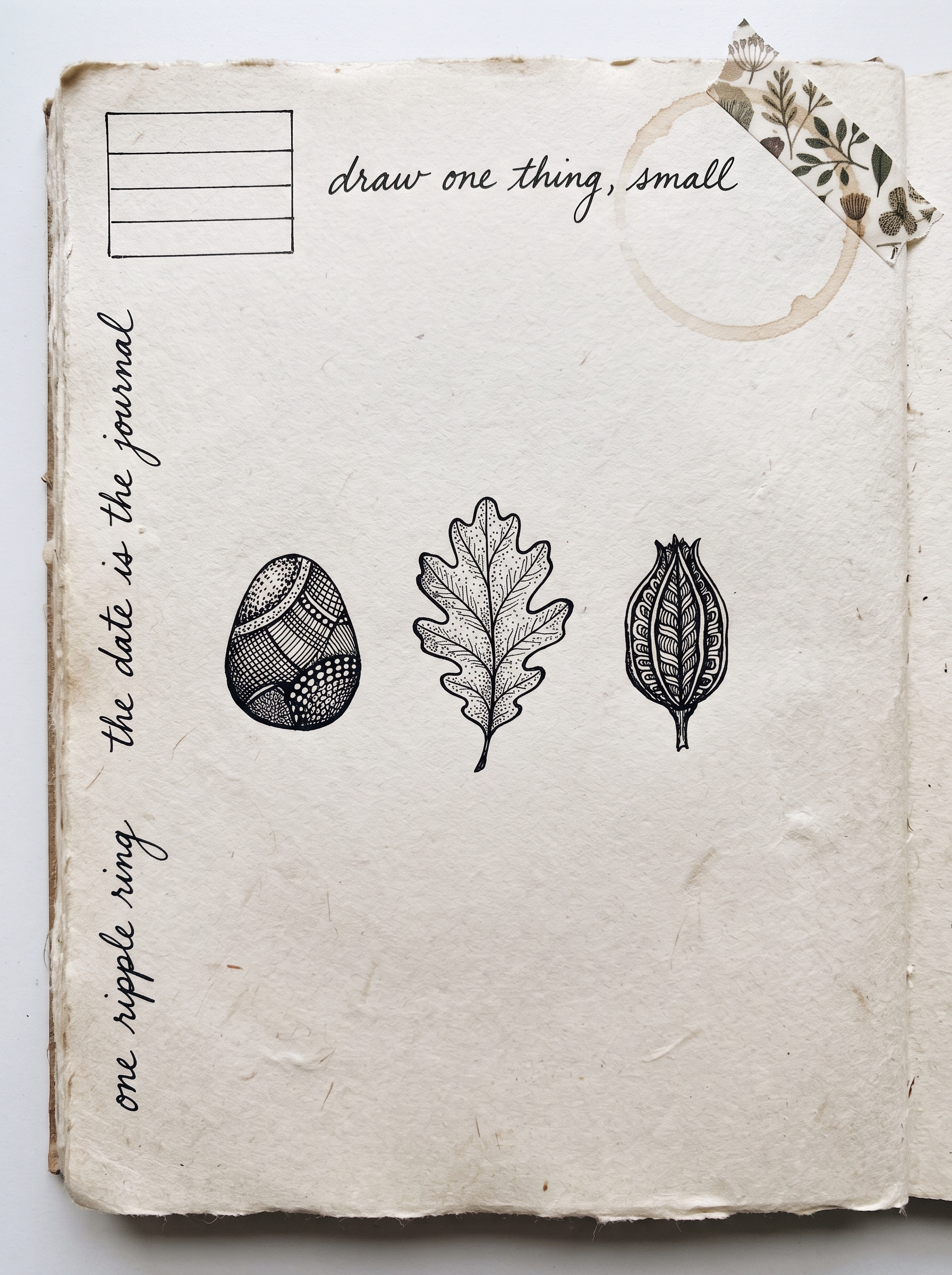 Artist journal page with a dated nature journaling entry and handwritten margin notes