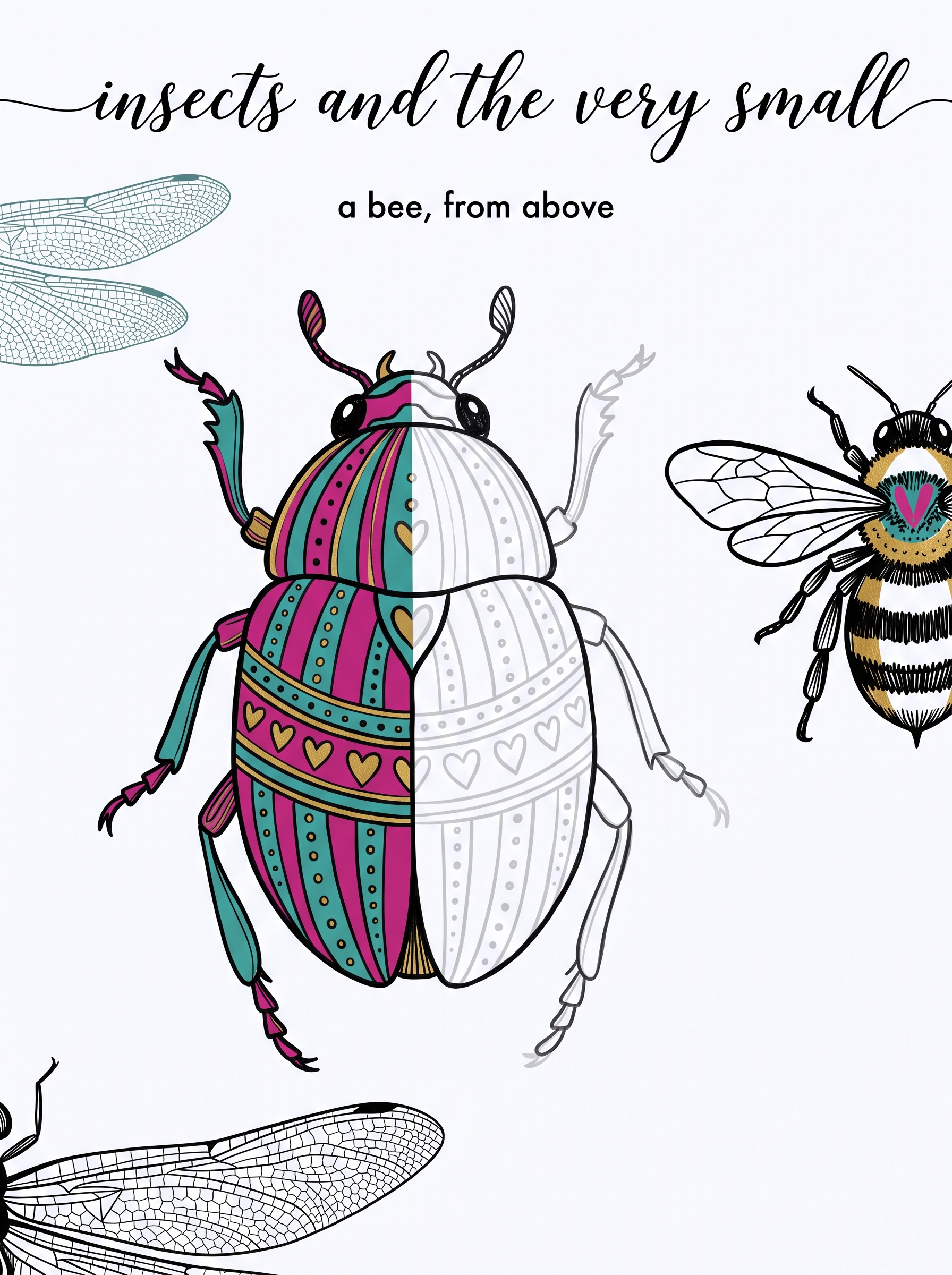 Field guide plate of insects drawn small for a nature journal, bee, beetle and dragonfly wing