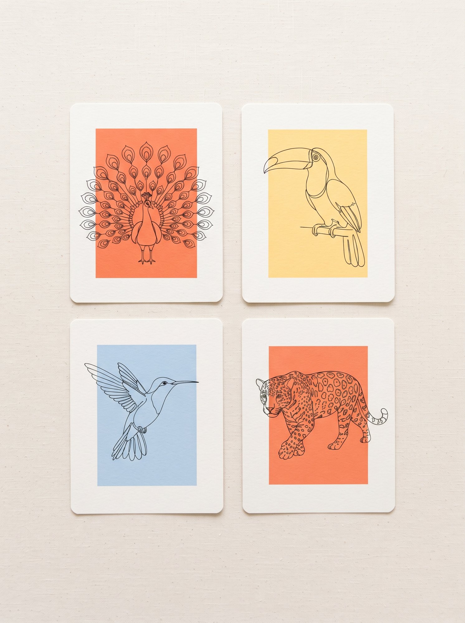Peacock, toucan, hummingbird and jaguar line art postcards flat lay