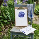 Ballpoint pen drawing of an iris half built in blue ink on a clipboard on a garden chair