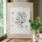 Ginkgo specimen drawing taped to a drawing board by a window, three pencil shapes at its edge and a real sprig in water