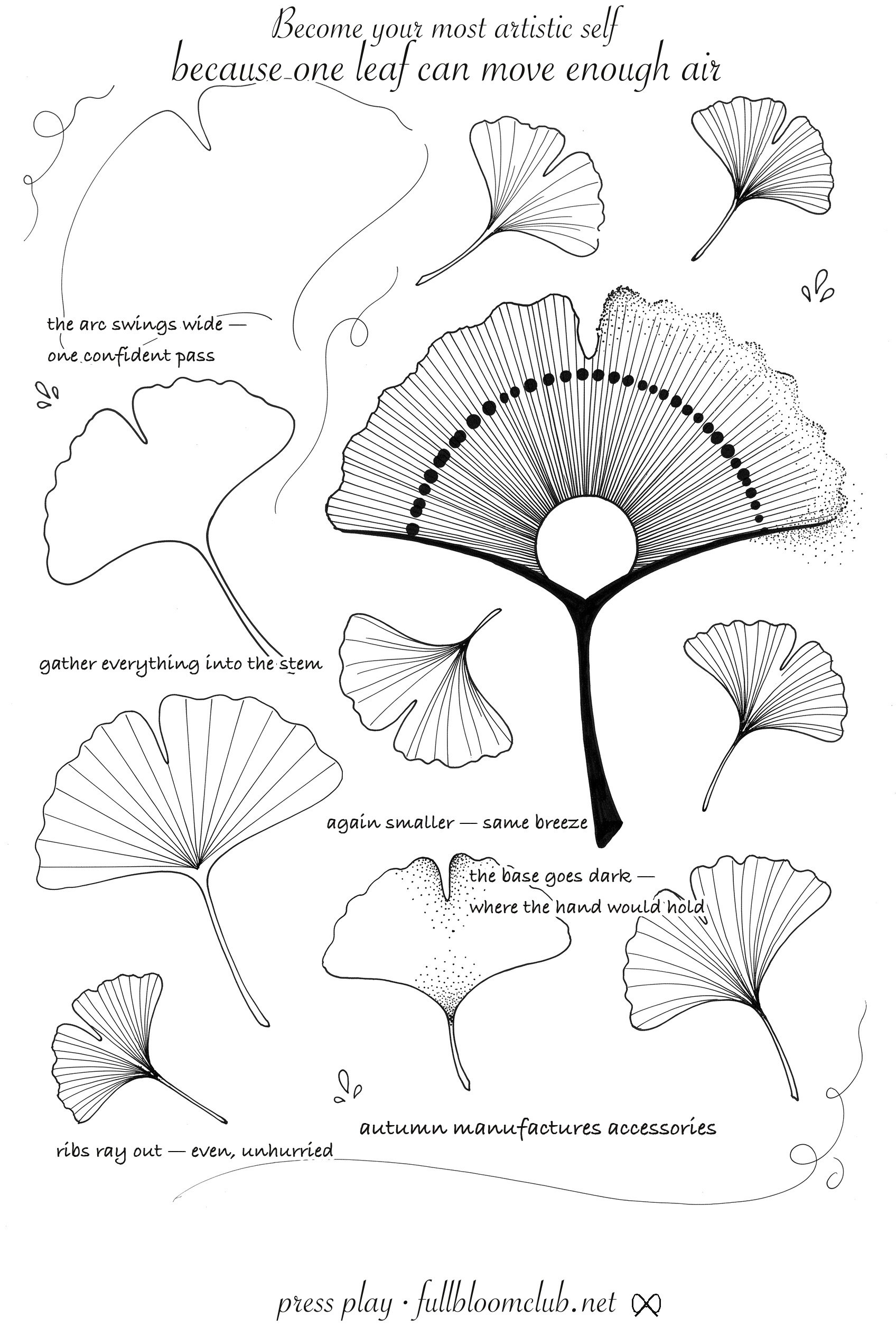 Ginkgo leaf drawing worksheet showing how the fan shape is built step by step