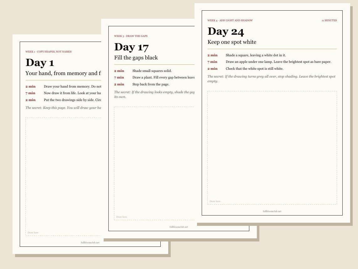 3 pages from the 31 printable lessons to learn to draw as an adult, 11 minutes each