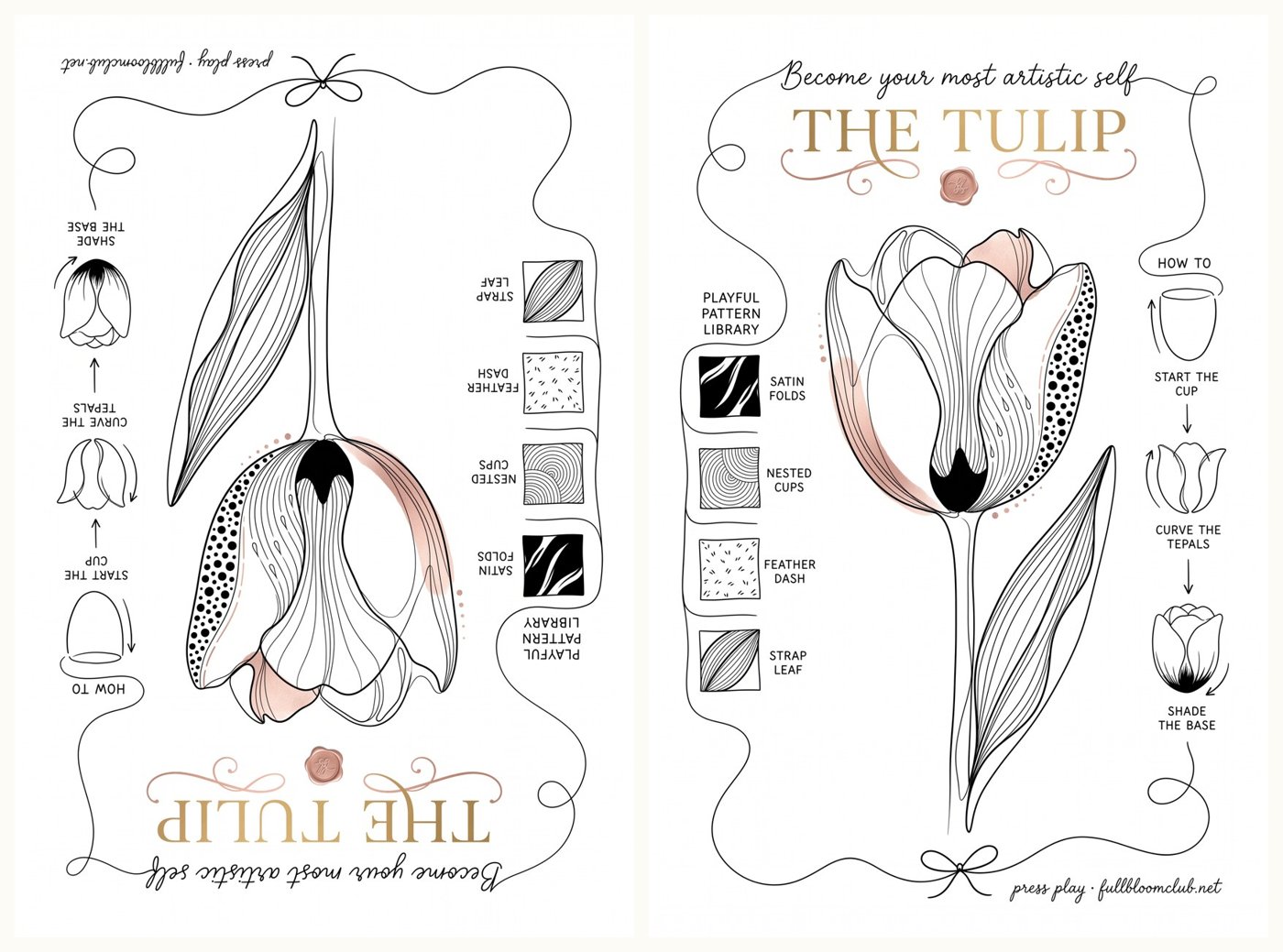 Upside-down drawing exercise to learn to draw as an adult: the same tulip sheet upside down and the right way up